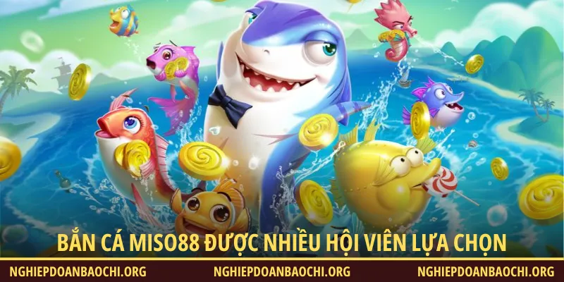Đông đảo hội viên lựa chọn Bắn cá Miso88 để giải trí mỗi ngày