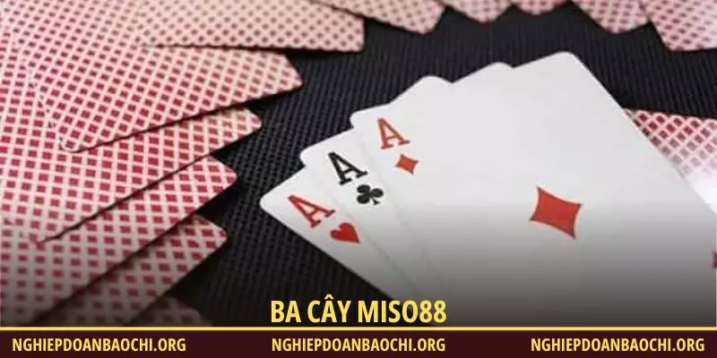 Ba Cây Miso88
