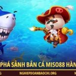 Bắn cá Miso88