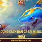 Cách bắn cá Miso88