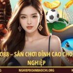 Cá cược Miso88