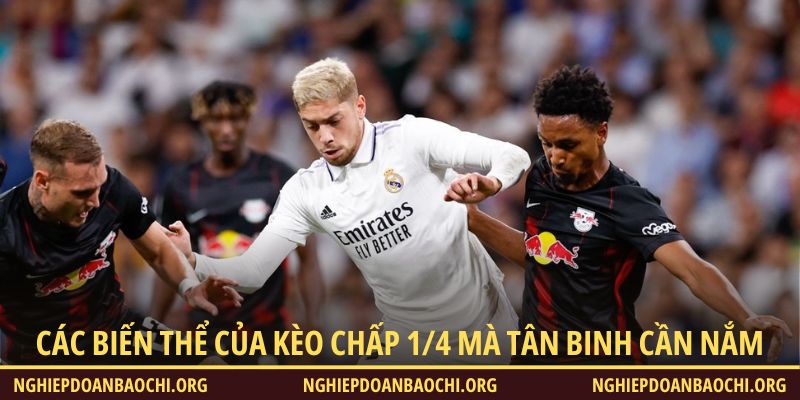 Các biến thể của kèo chấp 1/4 mà tân binh cần nắm