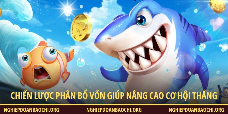 Chiến lược phân bổ vốn hiệu quả giúp nâng cao cơ hội thắng