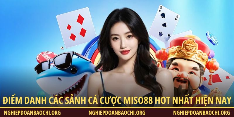 Điểm danh các sảnh cá cược Miso88 hot nhất hiện nay