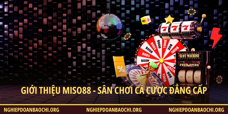 Giới thiệu Miso88 - Sân chơi cá cược đẳng cấp