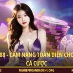 Hỏi đáp Miso88