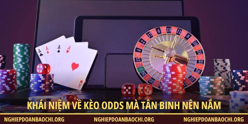 Khái niệm về kèo odds mà tân binh nên nắm