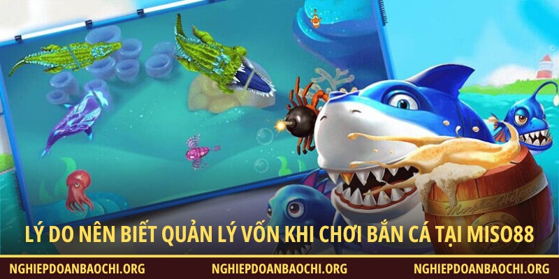 Lý do nên biết quản lý vốn khi chơi bắn cá tại Miso88