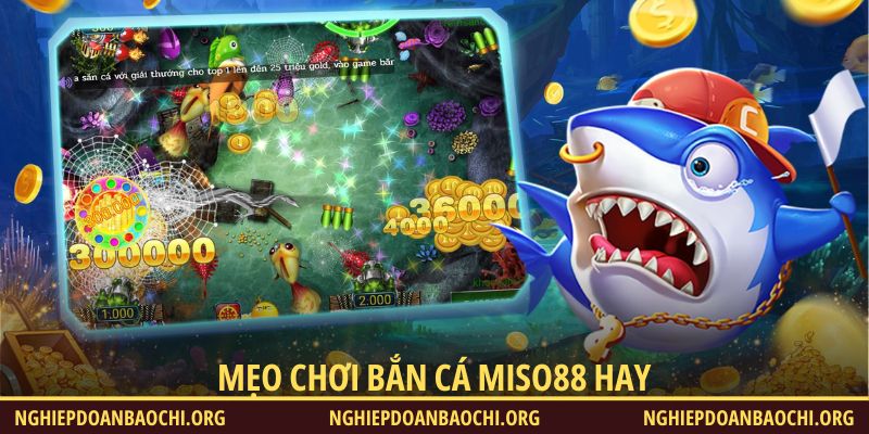 Mẹo chơi bắn cá Miso88 dễ thắng lớn