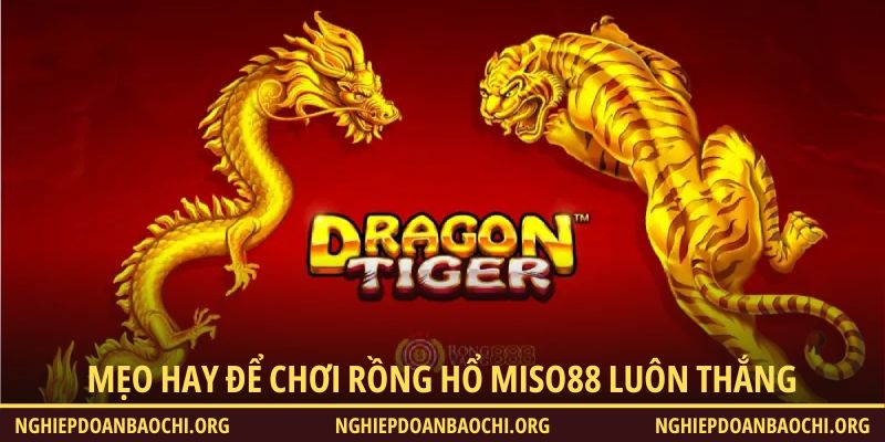 Mẹo hay để chơi Rồng Hổ Miso88 luôn thắng