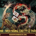 Rồng Hổ Miso88