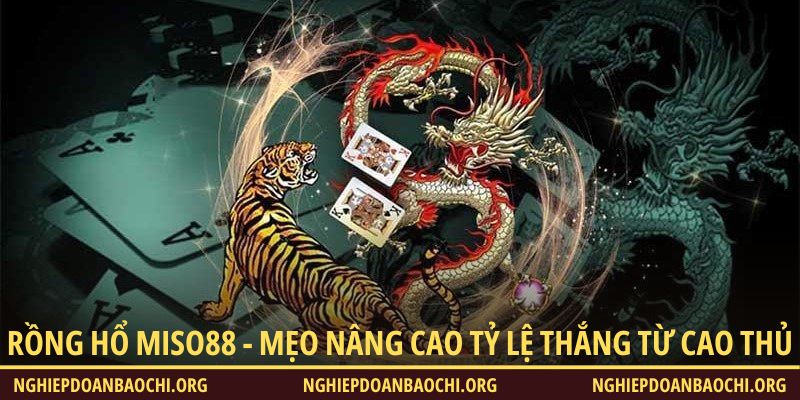 Rồng Hổ Miso88