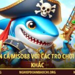 So sánh bắn cá