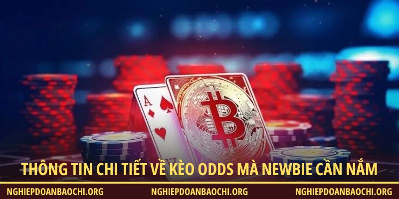 Thông tin chi tiết về kèo odds mà newbie cần nắm