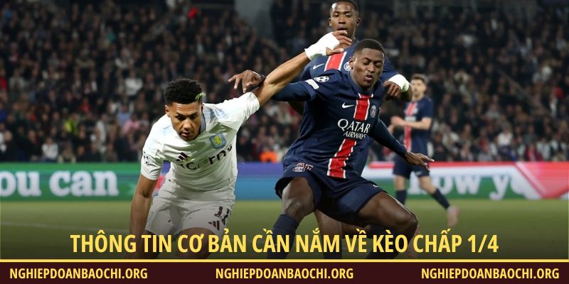 Thông tin cơ bản cần nắm về kèo chấp 1/4