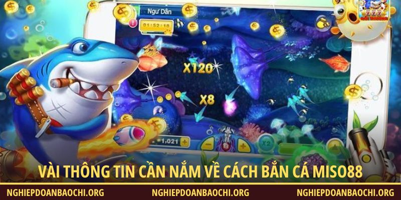 Vài thông tin cần nắm về cách bắn cá Miso88