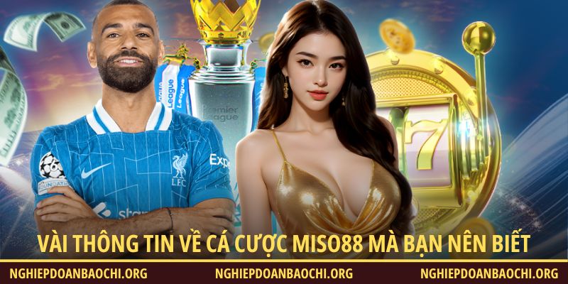 Vài thông tin về cá cược Miso88 mà bạn nên biết